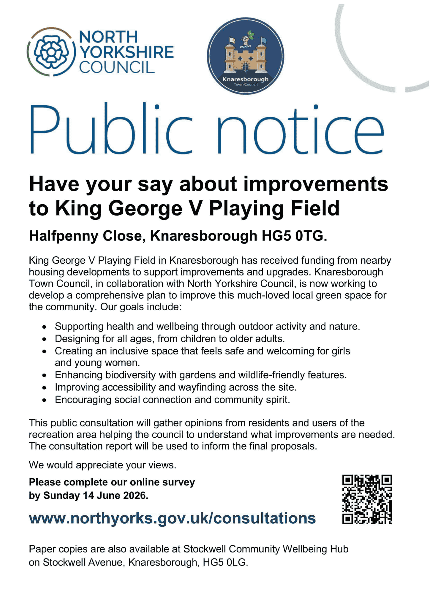 King George V Playing Field Public Consultation